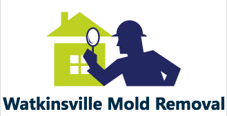 Watkinsville Mold Removal & Testing